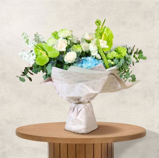 Eco Breeze