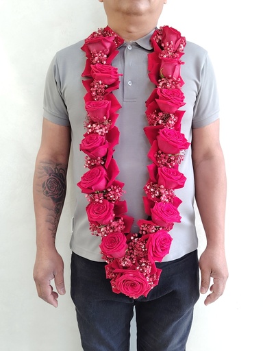 GARLAN ROSE RED
